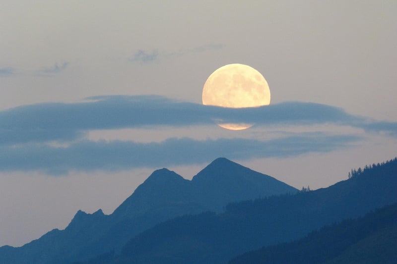 Moonlit Stroll